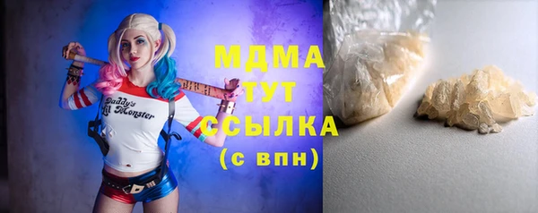 молекула духа Вяземский